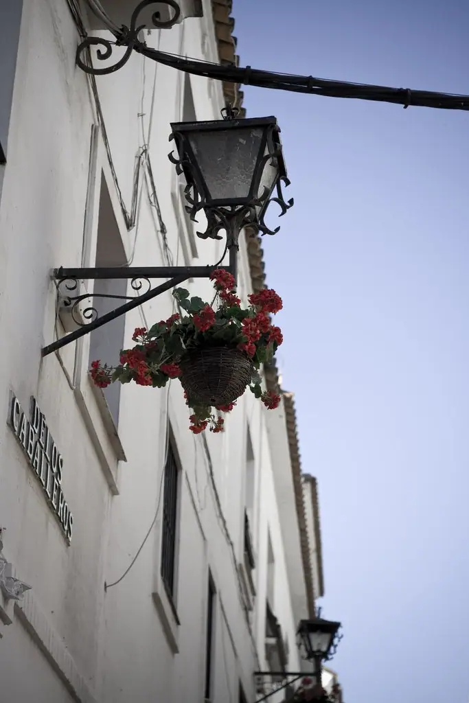 Fachada blanca con farol y macetas en el centro histórico