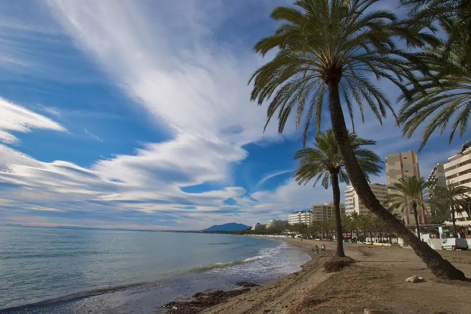 Paseo marítimo de Marbella con palmeras