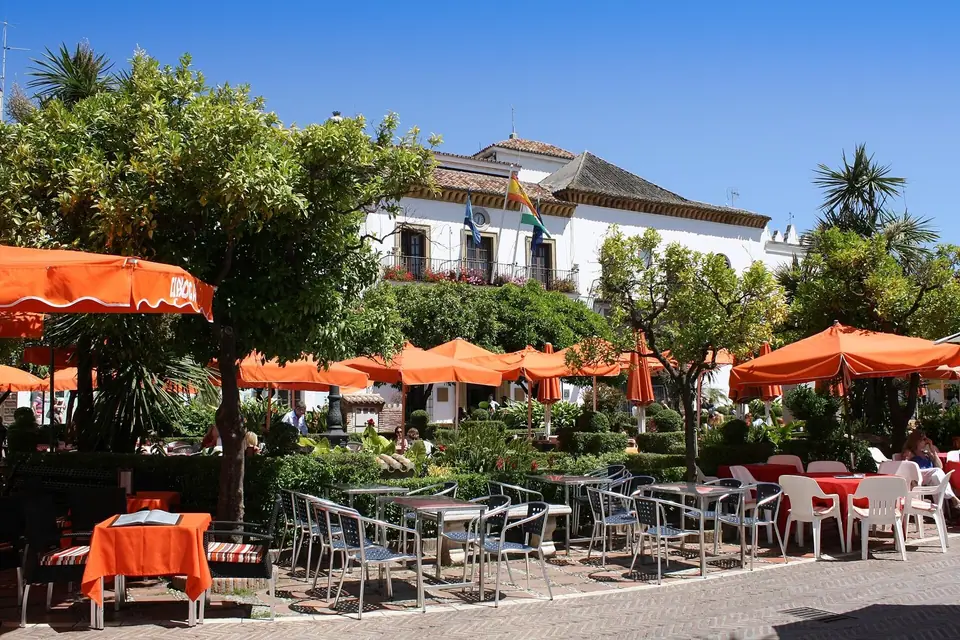 Terrazas bajo los naranjos en la Plaza de los Naranjos